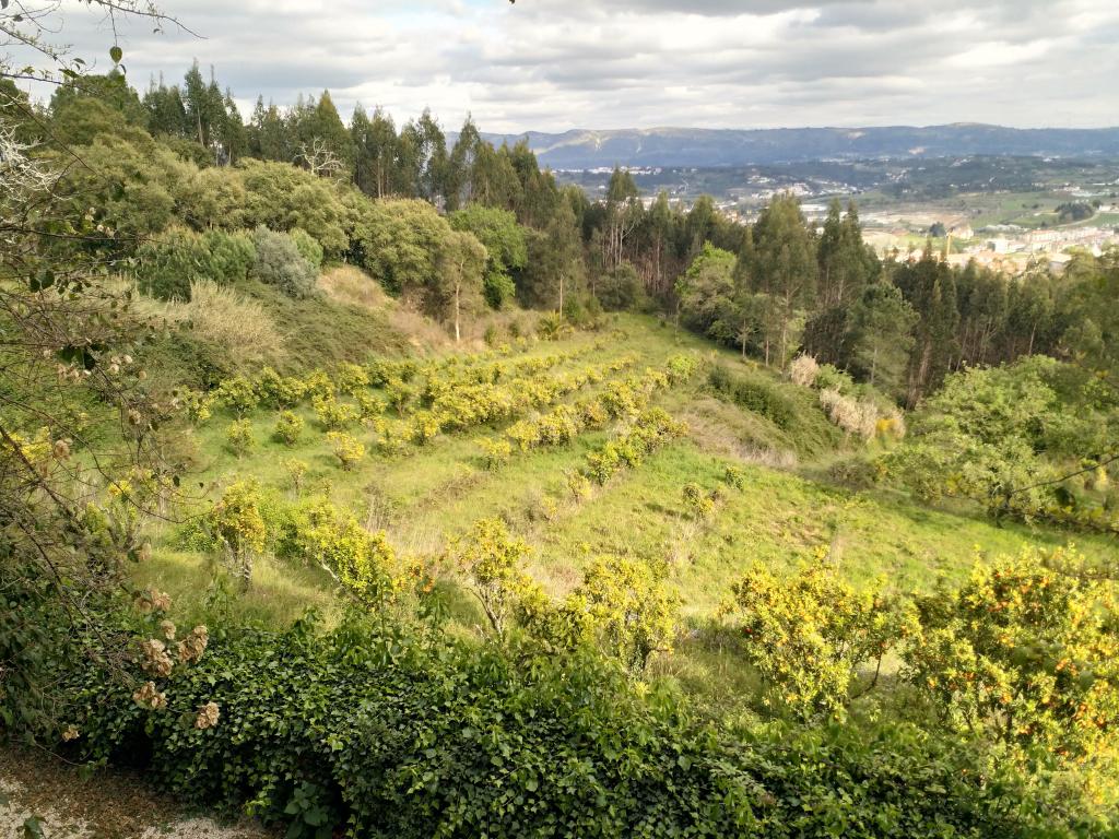 Estate with Agri-food Production / Farm Hotel or Agricultural production