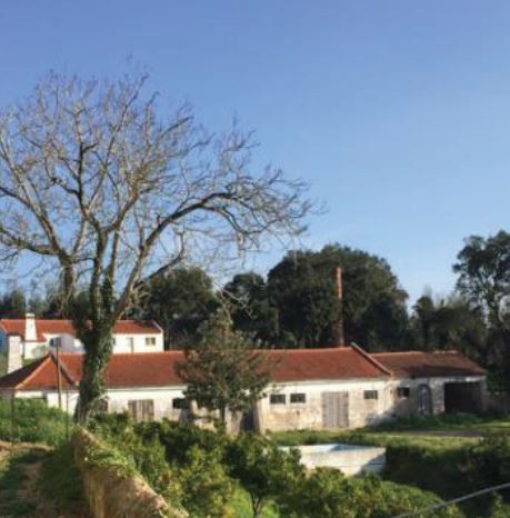 Estate with Agri-food Production / Farm Hotel or Agricultural production