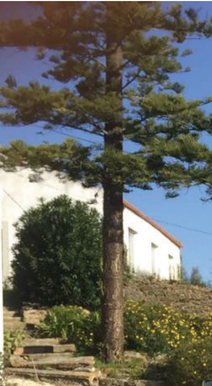 Estate with Agri-food Production / Farm Hotel or Agricultural production