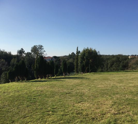 Estate with Agri-food Production / Farm Hotel or Agricultural production