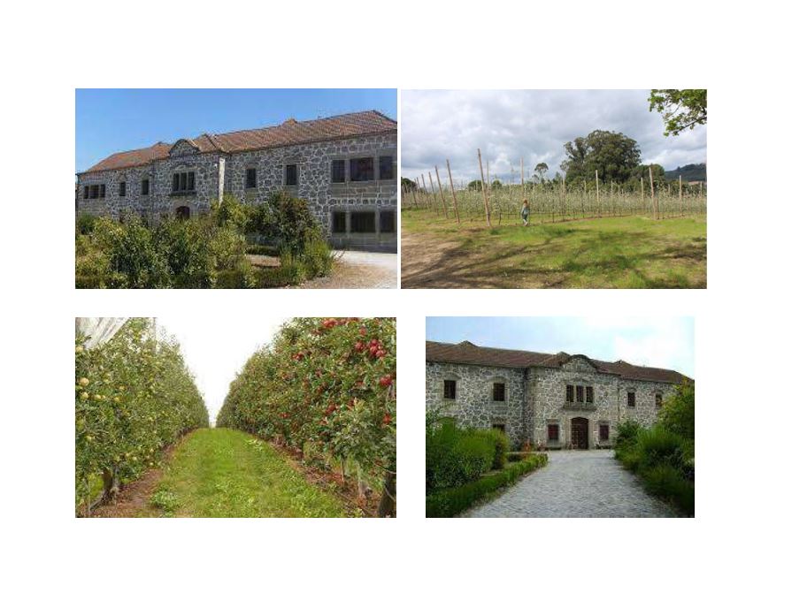 Estate with Agri-food Production Potential for: Senior Residence / Hotel / Tourism and  Events  (with apple orchard, 10 acre)