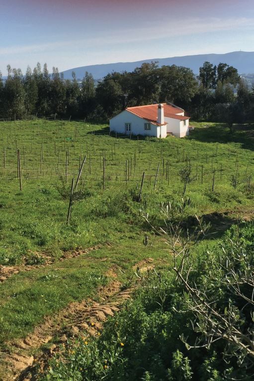 Estate with Agri-food Production / Farm Hotel or Agricultural production